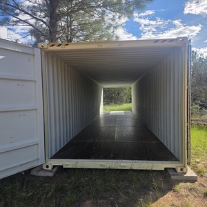 Conteneurs maritimes d'occasion neufs et économiques de 10, 20 et 40 pieds à vendre à prix compétitif – Solutions de stockage et de transport - Product Image 1