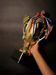 Coupe de trophée de deuxième place en or de qualité supérieure pour les événements sportifs, les compétitions de cricket, les tournois et la reconnaissance scolaire et professionnelle - Product Image 6