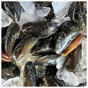 Mariscos Congelados, Carne de Mejillones Azules, Mejillones en Media Concha - Product Image 3