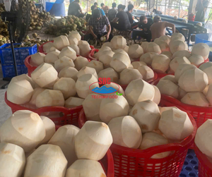 Vente en gros d'eau fraîche de noix de coco et d'agrumes du Vietnam pour les boissons d'été exportant de la qualité - Product Image 5