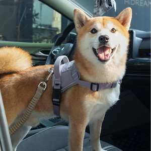 Cinturón de Seguridad para Perros con Gancho Giratorio, Venta al Por Mayor - Product Image 1