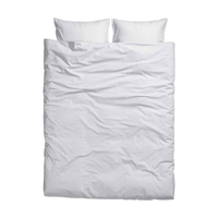 Parure de lit d'hôtel de luxe en coton blanc lisse, respirante et durable, 600 fils/cm², fournisseur OEM/ODM moderne sur mesure