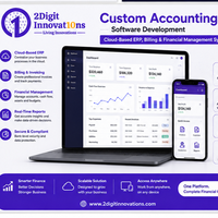 Desarrollo de Software de Contabilidad Personalizado |   Sistema de Gestión Financiera y Facturación ERP Basado en la Nube - Disponible en Stock