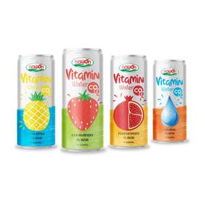 Bebida Energética Vitaminada con Jugo 500ML, Bebida Energética Enlatada Sin Colesterol, Lista para Beber, Múltiples Sabores, Muestra Gratis, OEM, MOQ Bajo - Product Image 5