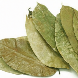 Hojas de Guanábana Secas de Vietnam, Té Herbal Natural para Mezclas de Té, Venta al Por Mayor, Suministro Directo de Fábrica - Product Image 1
