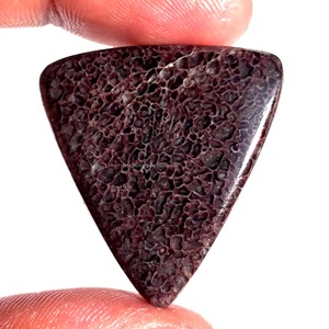 Piedras Preciosas de Hueso de Dinosaurio Natural al por Mayor, Cabujones Sueltos de Formas Mixtas 20-40mm, Grado AAA, Certificadas por Terceros, para Sanación Energética - Product Image 3