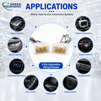 Harnais de câblage automobile multi-prises personnalisé, assemblage de connecteurs mâle-femelle, OEM ODM