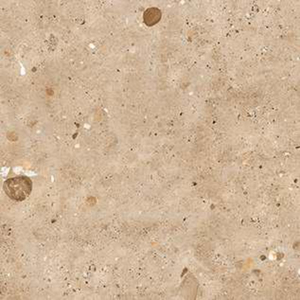 HD-245 600x600 mm 8.5mm de Espesor, Baldosa de Porcelana Pulida Digital Antibacteriana Antideslizante, Calidad Premium para Espacios Comerciales - Product Image 1