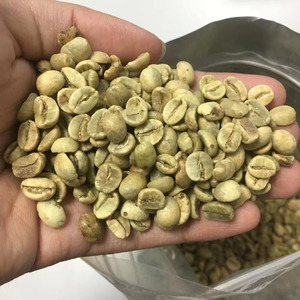 Granos de café verde Robusta de alto grado de Vietnam Tamaño de embalaje OEM-Pey - Product Image 3