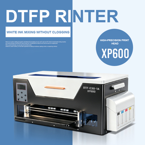 Vendita diretta in fabbrica XP600 C30-1A stampante DTF per pellicola da 33cm/30cm * 100m per la stampa di Tshirt per avviare una piccola impresa - Product Image 2