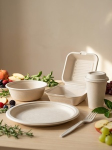 Nouvelles assiettes jetables en bagasse naturelle, compostables, rondes de 6 pouces, vaisselle durable pour événements - Product Image 1