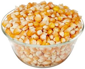 Maíz Amarillo Seco a Precio Mayorista, Suministro Industrial de Alimento para Animales, Gran Cantidad para Nutrición Animal, Alto Contenido de Almidón - Product Image 5