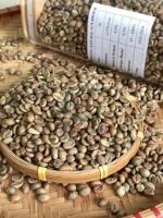 Fourniture en gros de grains de café Robusta Origine du Vietnam Spécialité Qualité Bon prix pour le commerce international Quantité en vrac