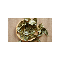 Feuilles de Laurier Cinnamomum Tamala Tej Patta Tejpatta Tejpat Malabar Séchées, Herbes Brutes Séchées, Extrait Végétal, Produit Herbal en Gros