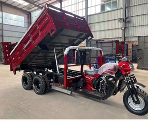 Venta al por mayor de fábrica: Triciclo de carga de 9 ruedas, motocicleta de 300CC o 350CC a gasolina, con carrocería abierta para uso de carga. - Product Image 2