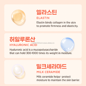 Sachet de supplément probiotique quotidien avec 10 milliards de CFU 30 bâtonnets pour la santé et le bien-être intestinaux de marque privée - Product Image 5