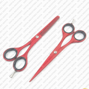 Ciseaux professionnels pour la perte de cheveux, 2 pièces, 6 pouces, ciseaux de coiffure pour salon de coiffure, instrument professionnel en acier inoxydable - Product Image 6