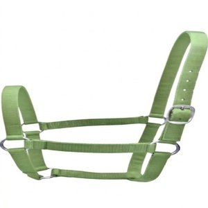 Custom 25mm Adjustable Nylon Webbing Equestrian Western Horse <b>Halter</b> Horse Riding Wear Black Blue Red Thick Nylon Webbing <b>Halter</b> - Product Image 5