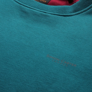 Sudadera de Cuello Redondo Color Verde Azulado para Hombre, Corte Regular, Logotipo Estampado, Informal, Tejida, 100% Algodón, para Otoño - Product Image 4