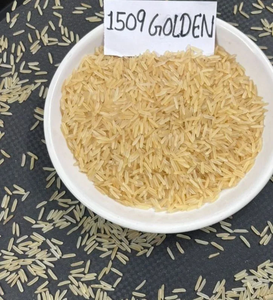 ข้าวบาสมาติ ฮาร์ดดราย กลิ่นหอมเข้มข้น 1509 โกลเด้น เซลล่า สำหรับโรงแรมและร้านอาหาร - Product Image 5