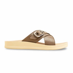 Sandalias Casuales Cómodas de Color Marrón para Mujer, con Tiras Cruzadas Anchas, Planas, con Detalle de Hebilla, Estilo Chic - Product Image 1
