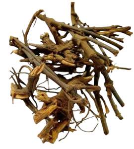 Chitrak Suplemento de hierbas de alta calidad CO2 extraído usando extracción de fluidos súper críticos de plantas - Product Image 1