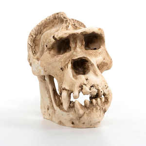 Tradebyd Creative Resin Animal Sculpted <b>Statue</b> Unique Handmade Figurine for Luxury Home Decor and Gifting Needs - Product Image 1