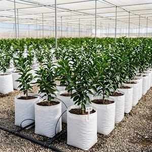 Sacs de culture en fibre de coco biodégradables, écologiques et durables pour jardinage domestique, en plastique PP, design carré, pour sol, serre, hydroponie, fleurs - Product Image 4