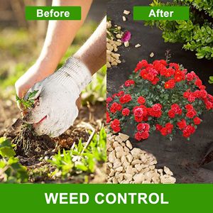 Telo Pacciamante Non Tessuto ad Alta Densità 1,2m x 91,4m Traspirante ed Ecologico - Protezione Essenziale per il Terreno contro le Erbacce - Product Image 5