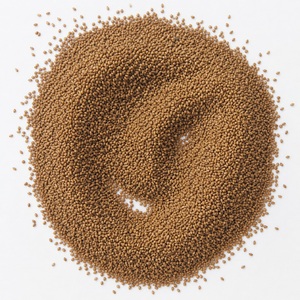 Graines de Lepidium Sativum Premium, Matière Première Naturelle, Graines de Cresson de Jardin en Vrac, Graines de Cresson Séchées, Graines Botaniques - Product Image 4