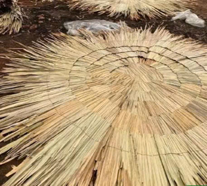 Fabricante Vietnamita de Cubiertas Plegables para Sombrillas de Paja de 1.8m, Repuesto Natural para Sombrillas de Patio, Proveedor al por Mayor - Product Image 5