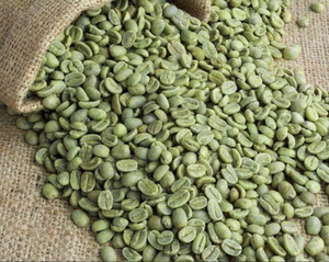 ผู้ผลิตโดยตรง เมล็ดกาแฟอาราบิก้าเขียวชนิดพิเศษ ขนาด 18 สำหรับนำเข้าและจำหน่าย ปริมาณขั้นต่ำต่อรองได้  หักและดำ 0.1% - Product Image 6
