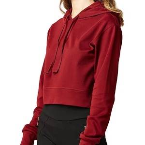 Sweat à capuche décontracté à manches longues en coton pour femme, couleurs personnalisées, logo, pour l'hiver, nouvelle collection 2026, sweats à capuche épais pour homme - Product Image 1