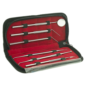 Kit de soins dentaires professionnel Safety Point 6 pièces, miroir buccal en acier inoxydable, sonde, nettoyage des dents, ensemble d'hygiène dentaire - Product Image 1