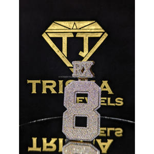 Colgante con Número Personalizado RX 8, Totalmente Cubierto con Moissanita VVS, Plata de Ley 925, Joyería Hip Hop de Trisha Jewels - Product Image 1