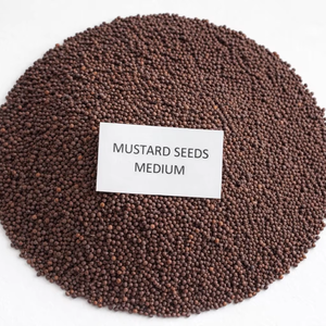 Graines de moutarde brune biologiques sans pesticides - Utilisation alimentaire et pharmaceutique - Product Image 1