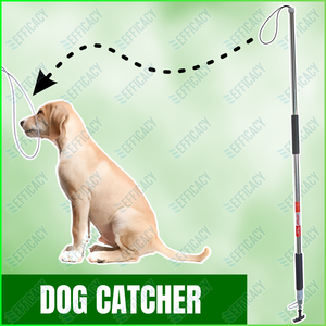 Juguete Interactivo para Perros, Varita Extensible Resistente y Ligera con Sonido, Directo de Fábrica - Product Image 4