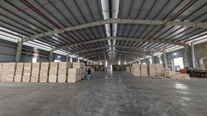 UNIGO Industrial Double Sanded Smooth Wholesale Promotion LVL Wood Bunk Bed Frame Made Hoa Binh Eco-Friendly Pine <b>Veneer</b> E1 - Product Image 6