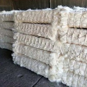 Suministro Confiable de Fibra de Sisal a Granel para Cuerdas, Cordel, Cepillos, Relleno y Material Industrial Natural, Listo para Empacar - Product Image 1