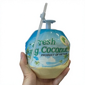 Coco Fresco Joven de Primera Calidad, con Cáscara Entera, Forma de Diamante, Piel Verde, 70-90 Días de Vida Útil, Calidad de Exportación Ben Tre - Product Image 1
