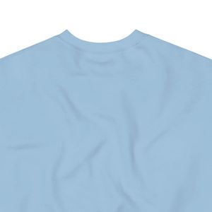 Women <b>Sky</b> <b>Blue</b> 1938 Graphic Crew Neck Long Sleeve Sweatshirt Cotton Pullover Casual Daily Fashion <b>Top</b> Jack and Jill Inspired - Product Image 4