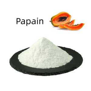 Enzimas Digestivas de Alta Calidad, Polvo de Papaína para Uso en Repostería, 2 Años de Duración - Product Image 3