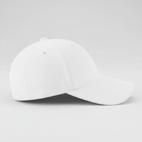 Erkek Şapkası Düşük Minimum Sipariş Adedi Özel Beyzbol Şapkası 3D Nakış Logolu Sade Gorras Spor Şapka Ayarlanabilir Günlük Stil OEM Tedarikçisi