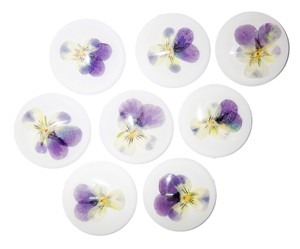 Heartsease Real Specimen Plastic Cabochon Round 38x38 mm White Flat Bottom for Crafts and Jewelry Making - Product Image 6