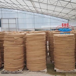 บะหมี่กะหล่ําฟองคุณภาพส่งออกดั้งเดิมของเวียดนามสําหรับเซรามิกและกระดาษ - Product Image 5