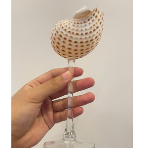 Verre artisanal en coquillage pur, origine Vietnam 2026, pour servir des boissons savoureuses et présenter des desserts créatifs, 99 Gold Data - Product Image 2