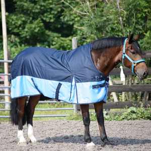 Medium Weight 200gm Horse Winter Turnout Rugs Warm <b>Blanket</b> with Nylon Lining Fabric Shell Horse Clothing - Product Image 4