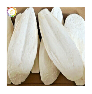 Os de Seiche Séchés en Gros pour Oiseaux – Coupe de Beak et Enrichissement en Calcium – Produit Naturel pour Animaux de Compagnie - Product Image 1