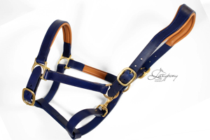 Harnais de Selle Anglaise en Cuir Véritable Premium avec Rembourrage Doux, Réglable et Durable pour l'Entraînement au Dressage et l'Utilisation Quotidienne - Product Image 6