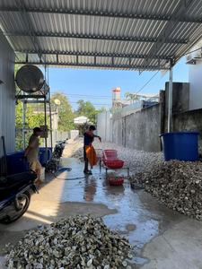 Conchas de Ostra Naturales Trituradas, Suplemento de Calcio para Aves de Corral, Gránulos para Gallinas Ponedoras, Acondicionador de Suelo, Fertilizante - Product Image 5